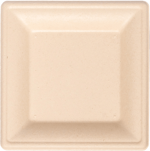 10 Square Plate