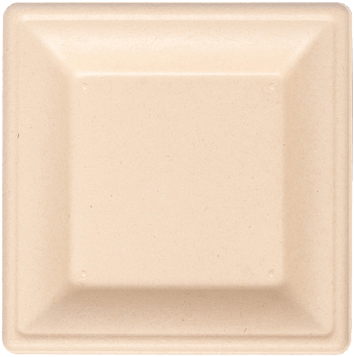 6 Square Plate