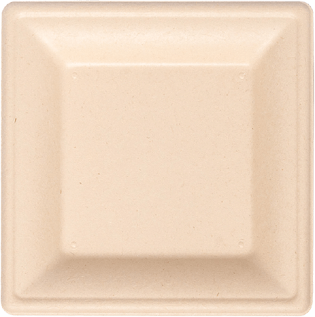 8 Square Plate