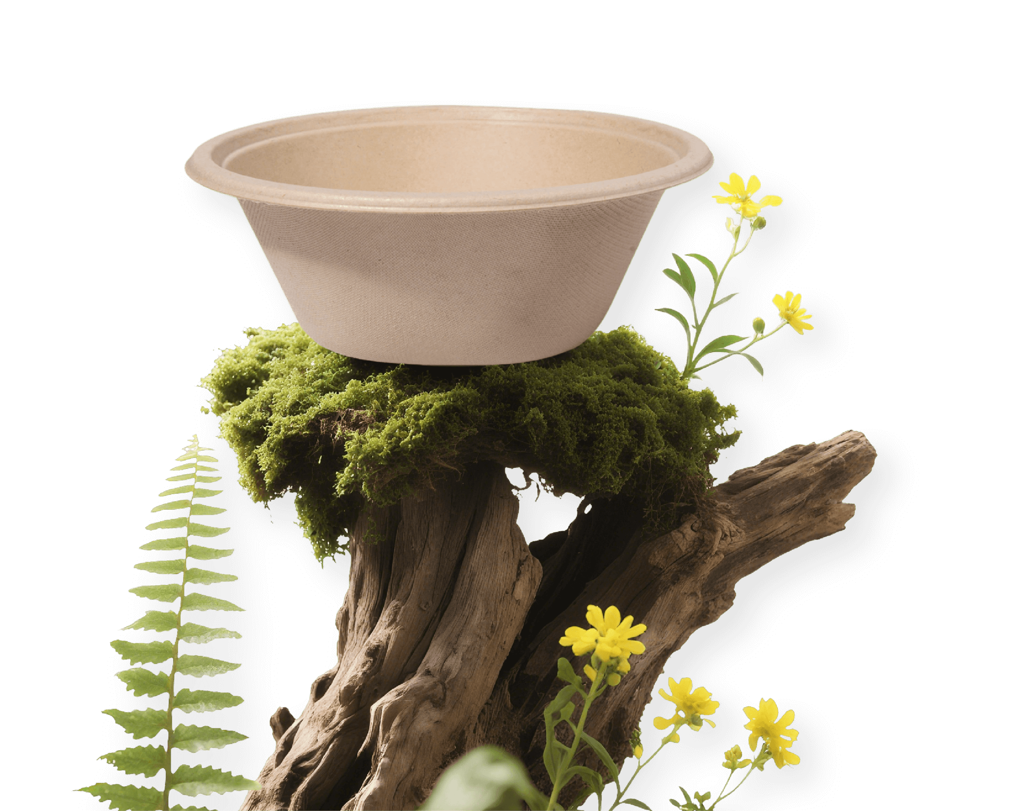 Bowl bannar tiny image