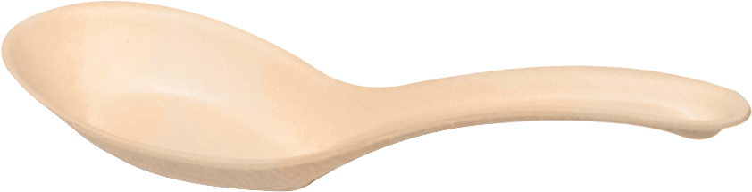 Soup Spoon img2