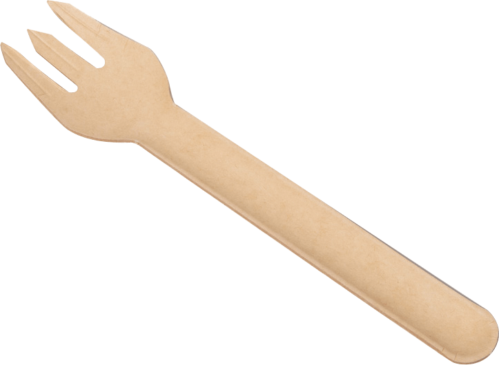 Sugarcane Bagasse Fork img 2