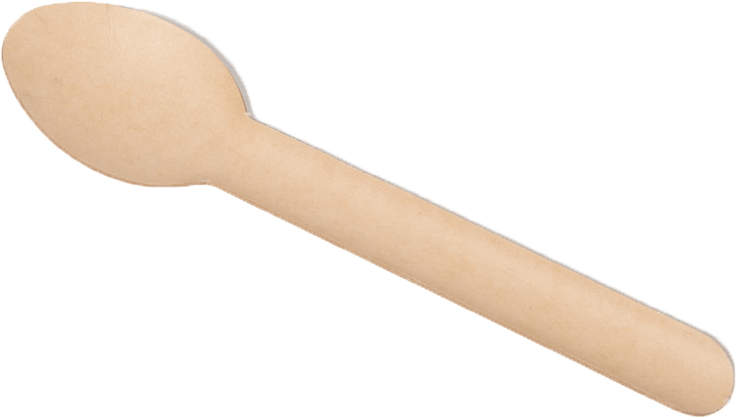 Sugarcane Bagasse Spoon img2