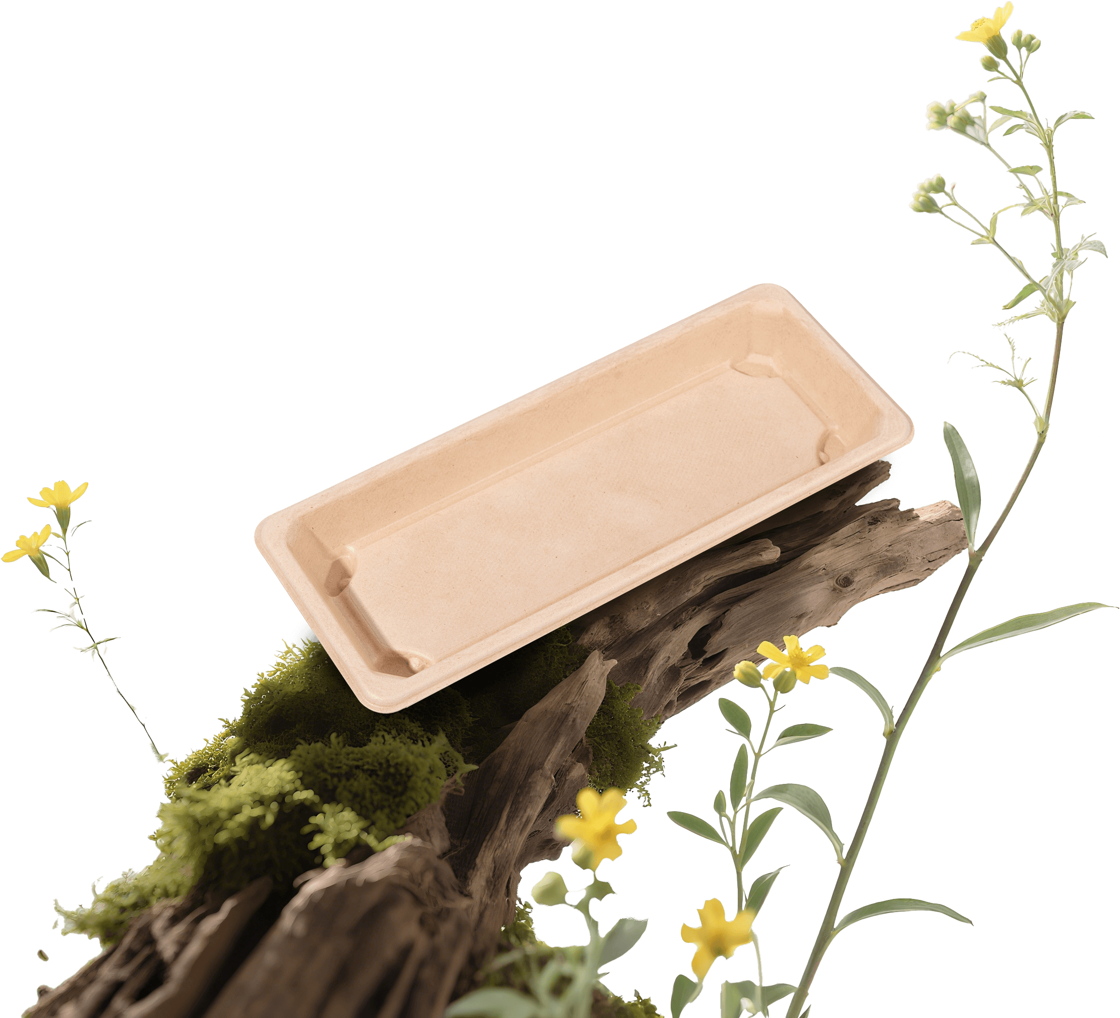 food tray bannar img resize