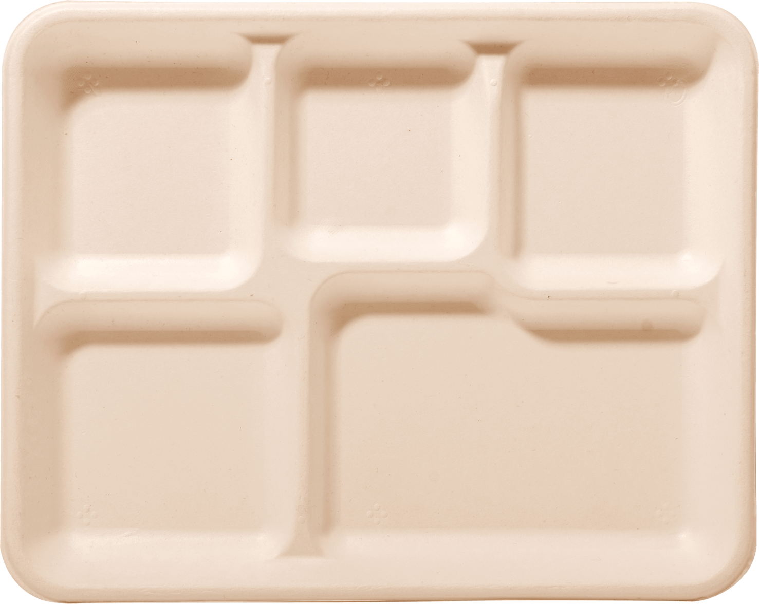 nature color 5 compartment tray img resize