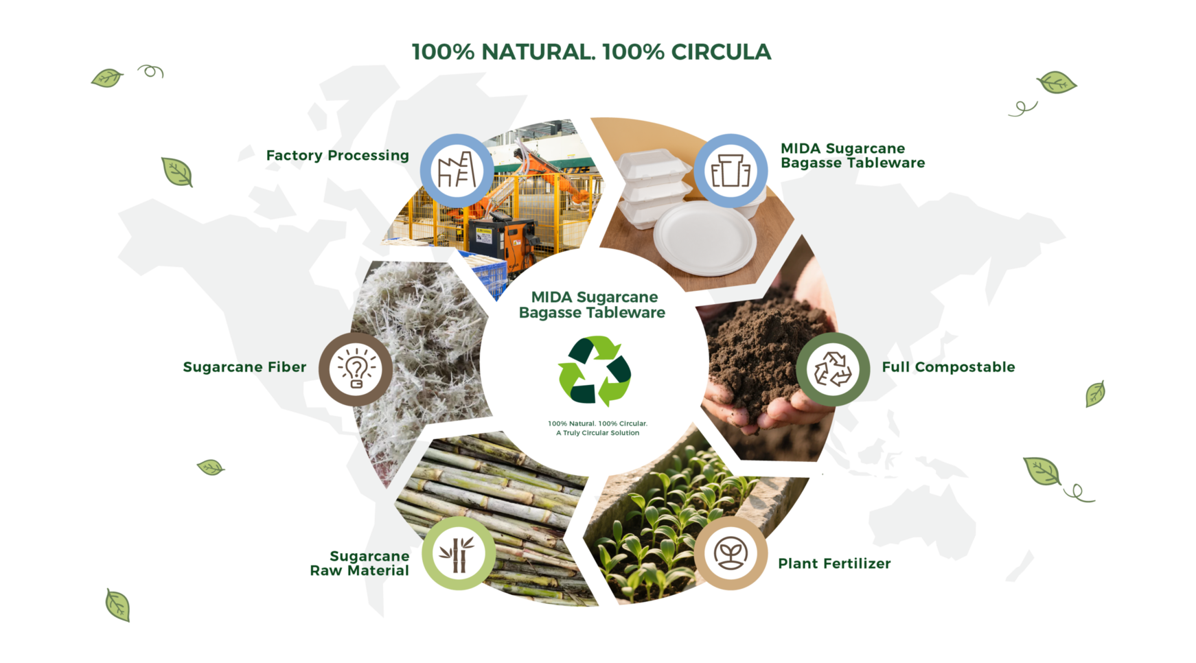 new Ecological cycle pictures