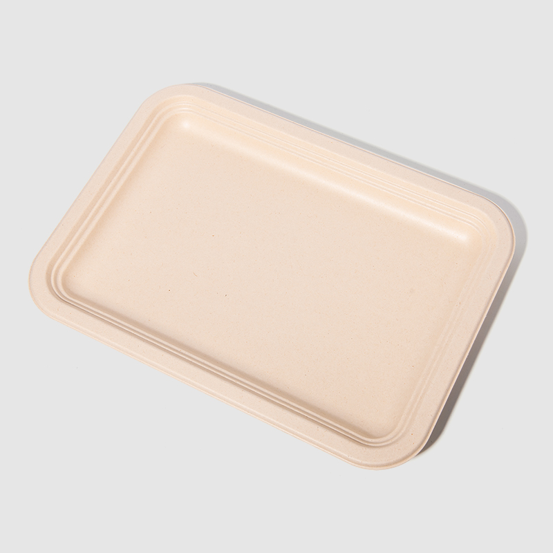 Rectangular Plate