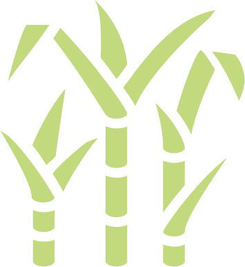 Sugarcane icon